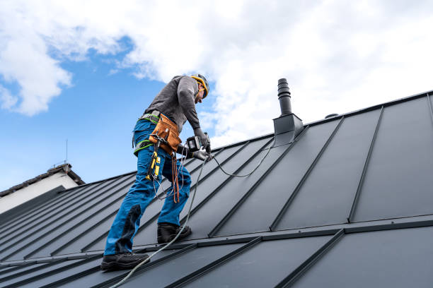 Best Sheet Metal Roofing  in Aberdeen, ID